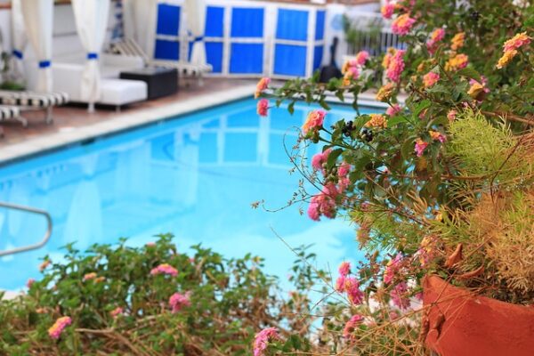 pool, nature, swimming, vacation, hotel, garden, gardening, swimming pools, blue, summer, holiday, swim, leisure, relaxation, travel, luxury, outdoors, recreation, sun, wet